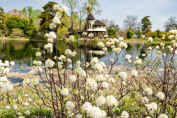 View of the Childrens Treehouse in Lewis Ginter Gardens