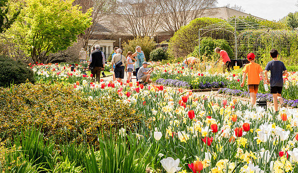 Spring in Lewis Ginter Botanical Gardens