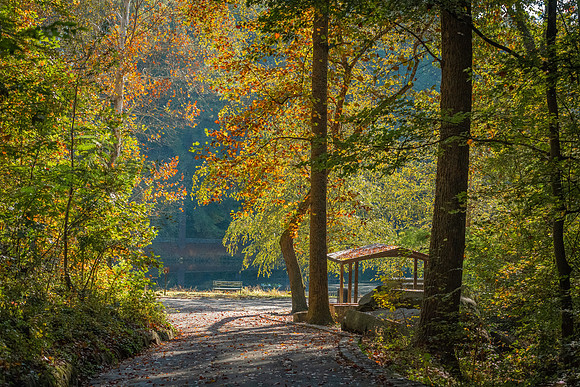 Forest Hill Park in RVA